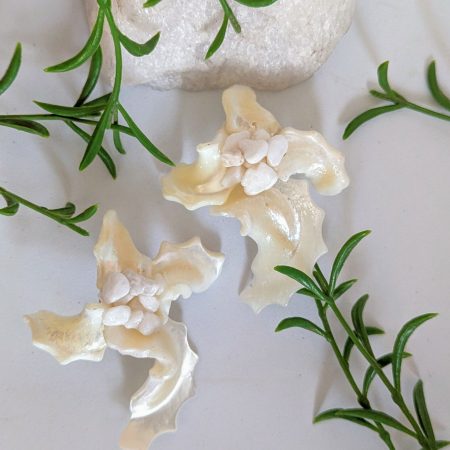 Iris Shell Statement