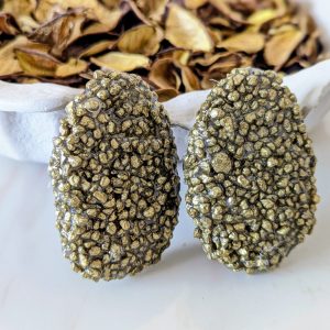 Stone Statement Studs